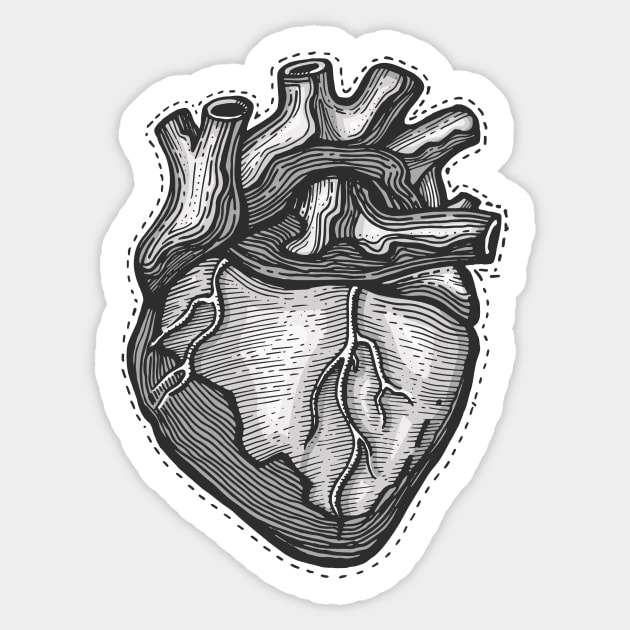 Human heart illustration Sticker by bernardojbp